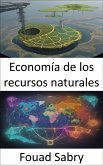 Economía de los recursos naturales (eBook, ePUB)