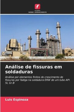 Análise de fissuras em soldaduras - Espinoza, Luis