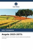 Angola 2025-2075: