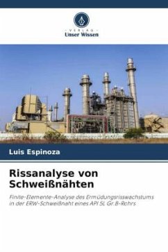 Rissanalyse von Schweißnähten - Espinoza, Luis