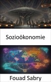 Sozioökonomie (eBook, ePUB)