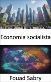 Economía socialista (eBook, ePUB)