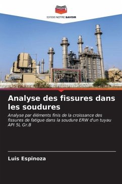 Analyse des fissures dans les soudures - Espinoza, Luis