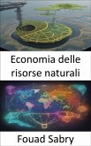 Economia delle risorse naturali (eBook, ePUB)