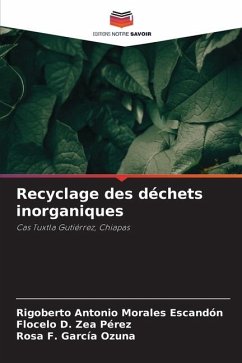 Recyclage des déchets inorganiques - Morales Escandón, Rigoberto Antonio;Zea Perez, Flocelo D.;García Ozuna, Rosa F.