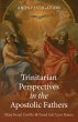 Trinitarian Perspectives in the... - Bild 1