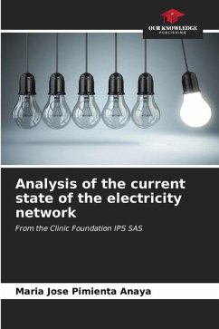 Analysis of the current state of the electricity network - Pimienta Anaya, Maria Jose