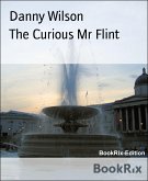 The Curious Mr Flint (eBook, ePUB)