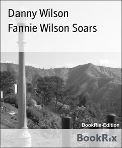 Fannie Wilson Soars (eBook, ePUB) - Wilson, Danny