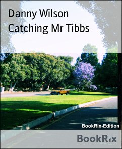 Catching Mr Tibbs (eBook, ePUB) - Wilson, Danny