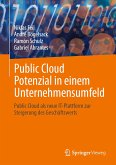 Public Cloud Potenzial in einem Unternehmensumfeld (eBook, PDF)