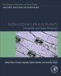 Non-Coding RNA in Plants - Bild 1