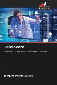 Telelavoro - Toledo Zavala, Joaquín