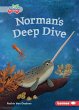 Norman's Deep Dive - Bild 1