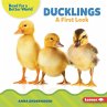 Ducklings - Bild 1