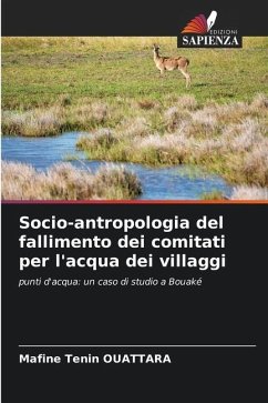 Socio-antropologia del fallimento dei comitati per l'acqua dei villaggi - OUATTARA, Mafine Tenin