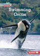 Swimming Orcas - Bild 1