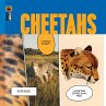 Cheetahs - Bild 1