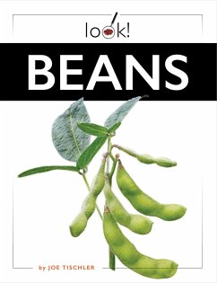 Beans - Tischler, Joe