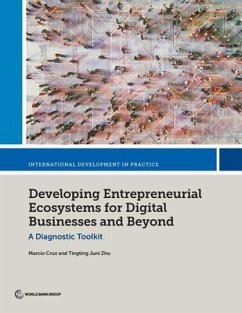 Developing Entrepreneurial Ecosystems for Digital Businesses and Beyond - Cruz, Marcio; Zhu, Tingting Juni