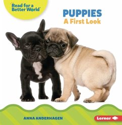 Puppies - Anderhagen, Anna
