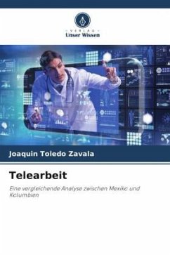 Telearbeit - Toledo Zavala, Joaquín