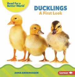 Ducklings - Anderhagen, Anna