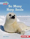 So Many Harp Seals