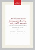 Chromosomes in the Spermatogenesis of the Hemiptera Heteroptera