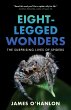Eight-Legged Wonders - Bild 1