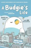 A Budgie's Life A Budgie's Life