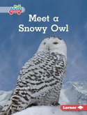 Meet a Snowy Owl