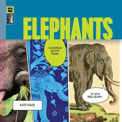 Elephants - Riggs, Kate