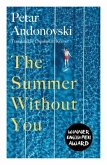 The Summer Without You The Summer Without You