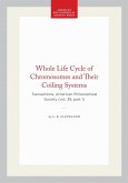 Whole Life Cycle of Chromosomes and Their Coiling Systems