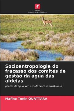 Socioantropologia do fracasso dos comités de gestão da água das aldeias - OUATTARA, Mafine Tenin