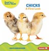 Chicks - Bild 1