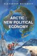 Arctic - Bild 1