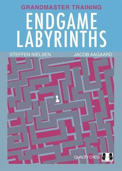 Endgame Labyrinths - Aagaard, Jacob; Nielsen, Steffen