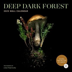 Deep Dark Forest 2025 Wall Calendar - Hajnoczky, Julya