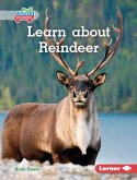 Learn about Reindeer