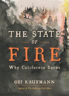 The State of Fire - Kaufmann, Obi