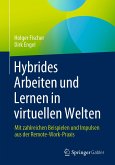Hybrides Arbeiten und Lernen in virtuellen Welten (eBook, PDF)