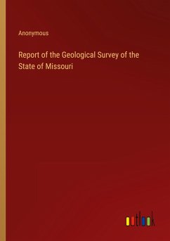 Report of the Geological Survey of the State of Missouri - Anonymous