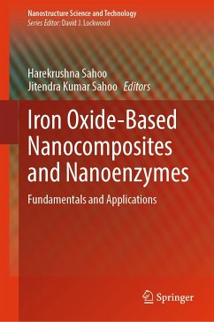 Iron Oxide-Based Nanocomposites and Nanoenzymes (eBook, PDF)