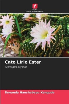 Cato Lírio Ester - Kangude, Dnyanda Haushabapu