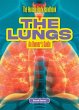 The Lungs - Bild 1
