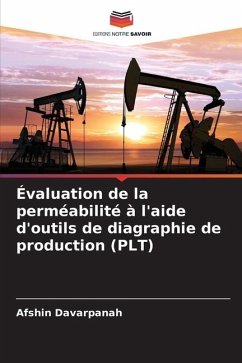 Évaluation de la perméabilité à l'aide d'outils de diagraphie de production (PLT) - Davarpanah, Afshin