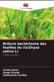 Brûlure bactérienne des feuilles du riz(Oryza sativa L)