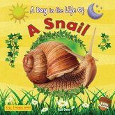 A Snail